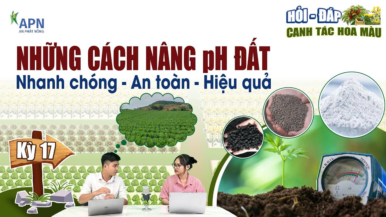 APN - HƯỚNG DẪN NHỮNG CÁCH NÂNG pH ĐẤT | Nhanh chóng - an toàn - hiệu quả