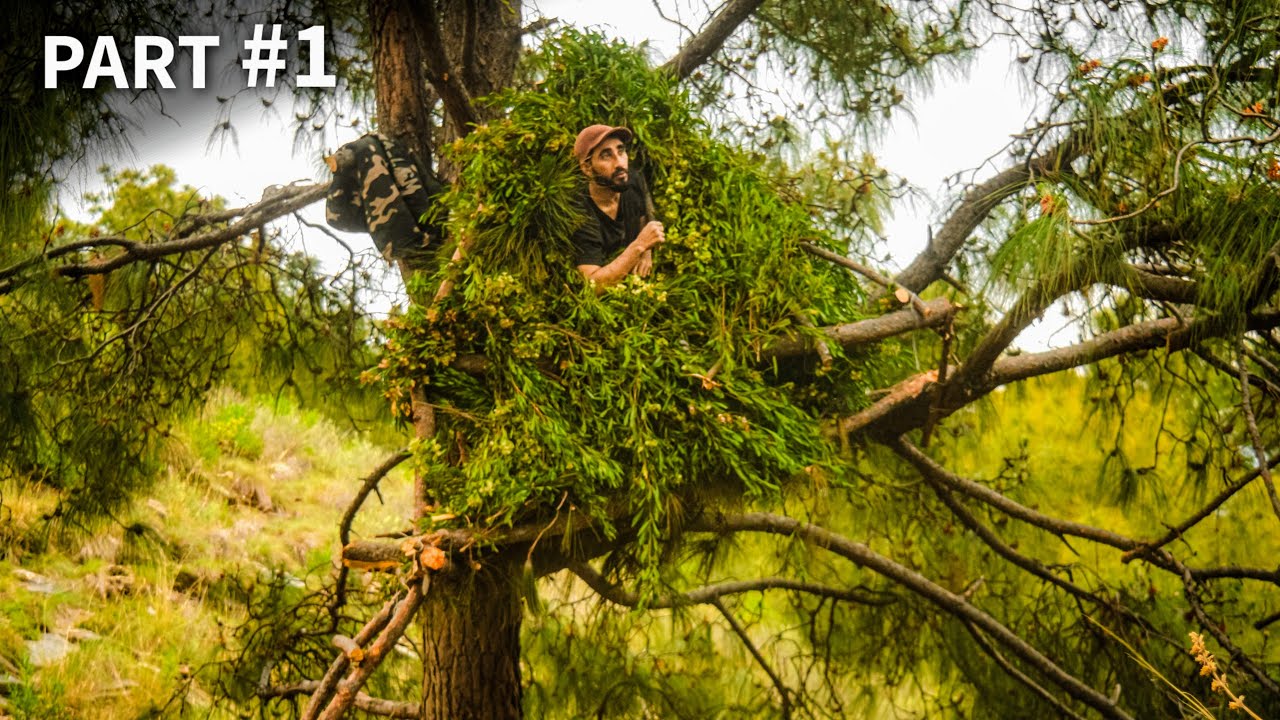 Solo Bushcraft Camping | Building a Tree House | Emergency Camping in the Rain, Part 1