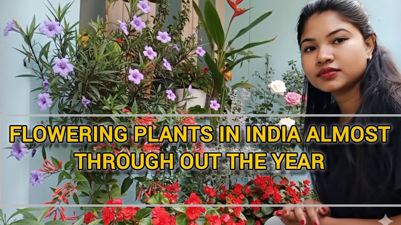 “I Ruined These Plants So You Don’t Have To 😅🌱 Gardening Mistakes to Avoid
