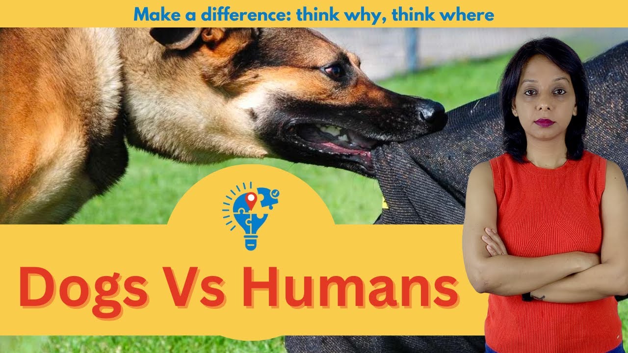 Dogs VS Humans