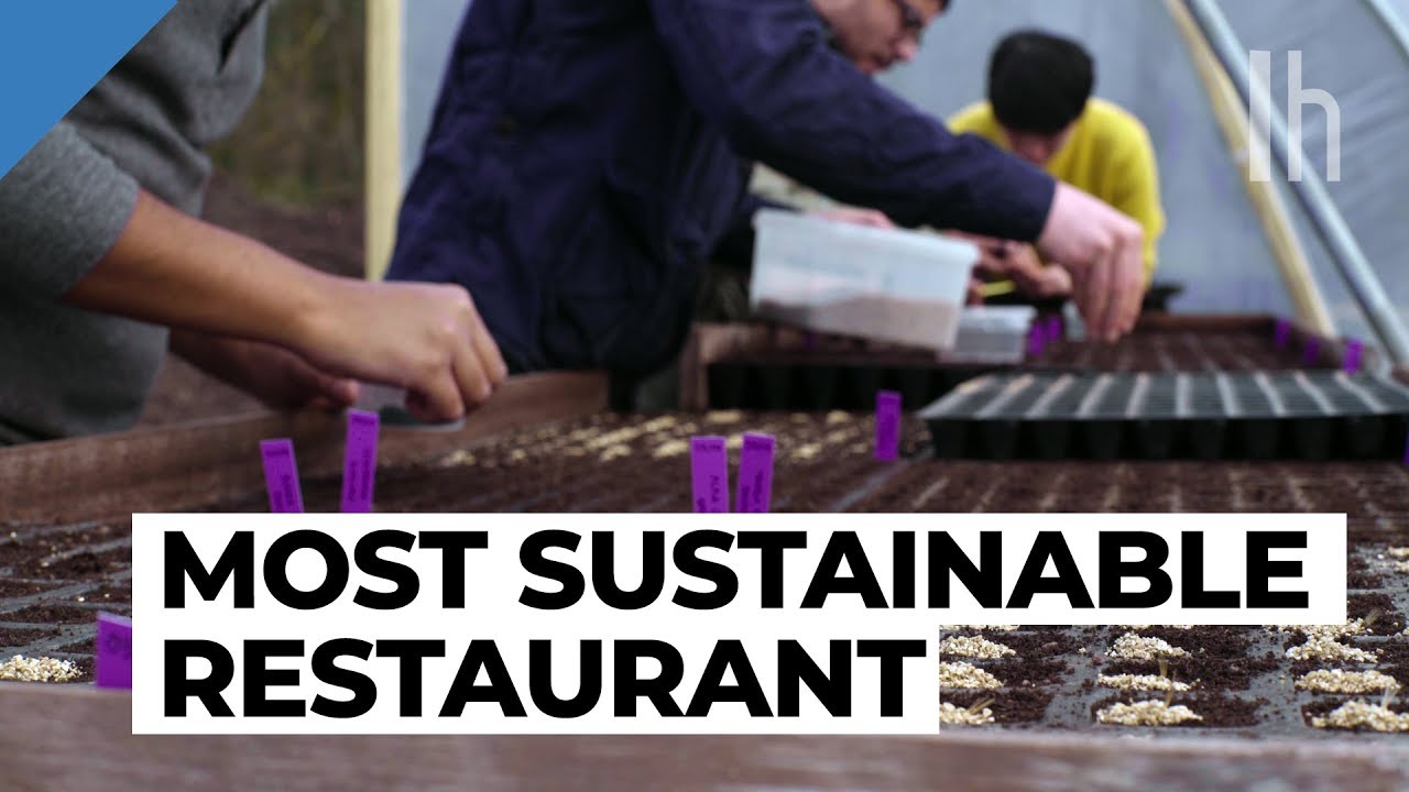 Food Tips From the Most Sustainable Restaurant in the World