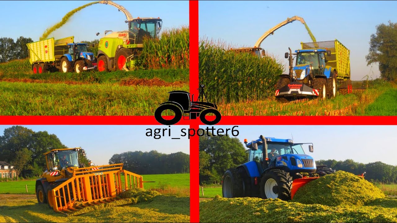 Mais hakselen| maize harvesting | grefelman | luttenberg |