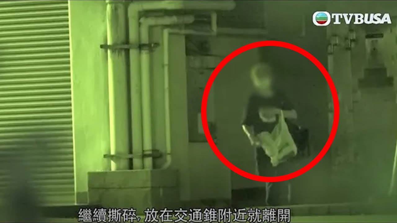 東張西望｜曱甴氾濫全因怪癖女子隨街養「小強」？ | TVBUSA | 民生 | 衛生