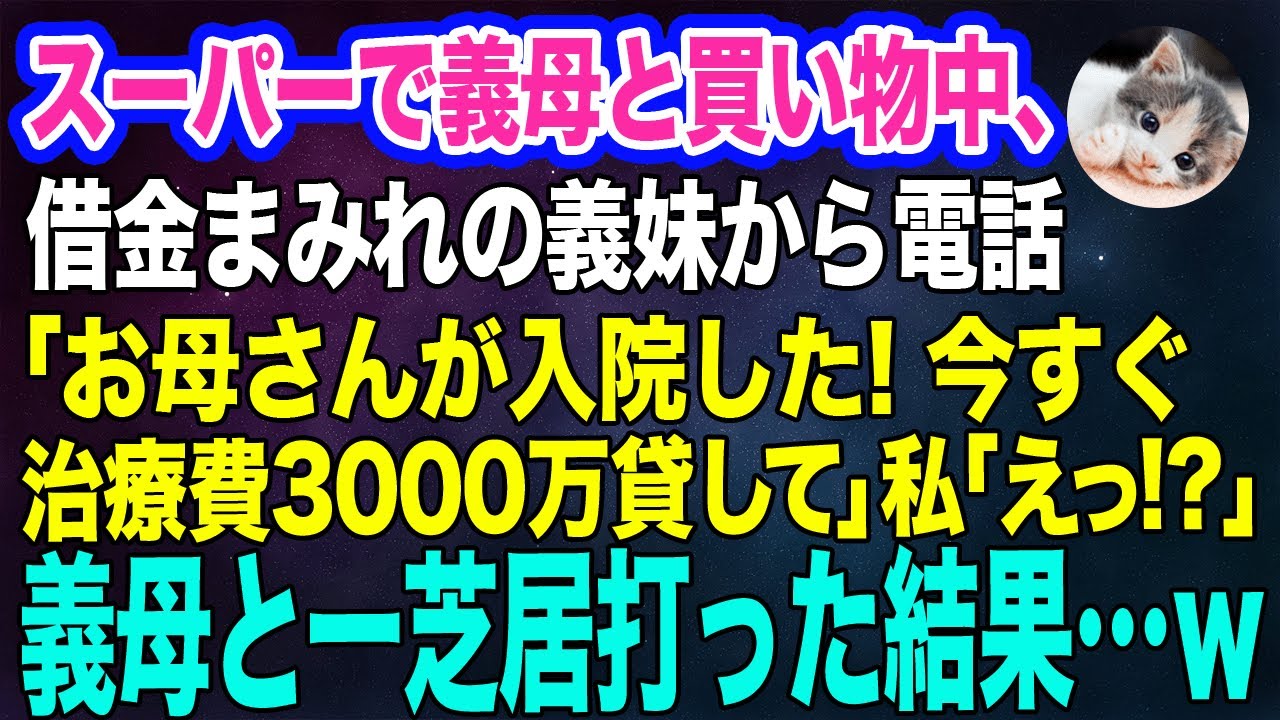 スーパーで義母と買い物中、 借金まみれの義妹から電話 「お母さんが入院した！今すぐ治療費3000万貸して」私 「えっ⁉」→義母と一芝居打った結果…ｗ【スカッとする話・年金シニア生活】