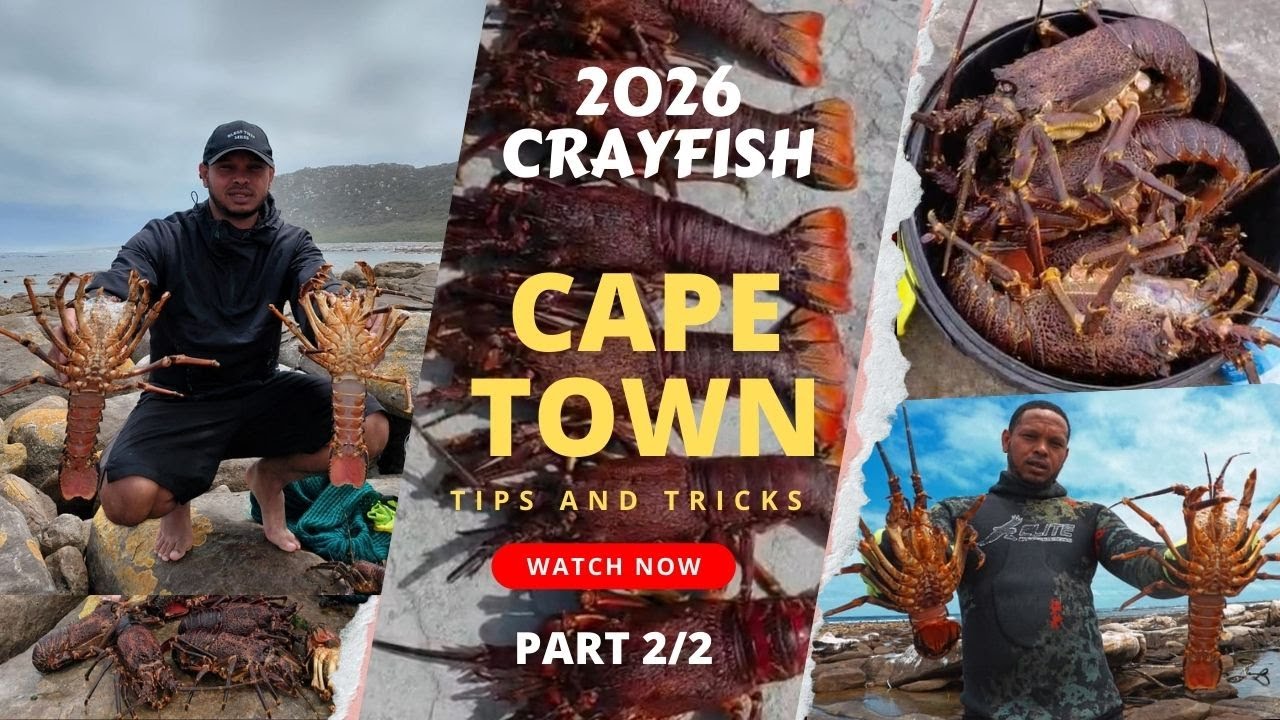 2026 Cray fishing at Cape Point [Tips] part 2