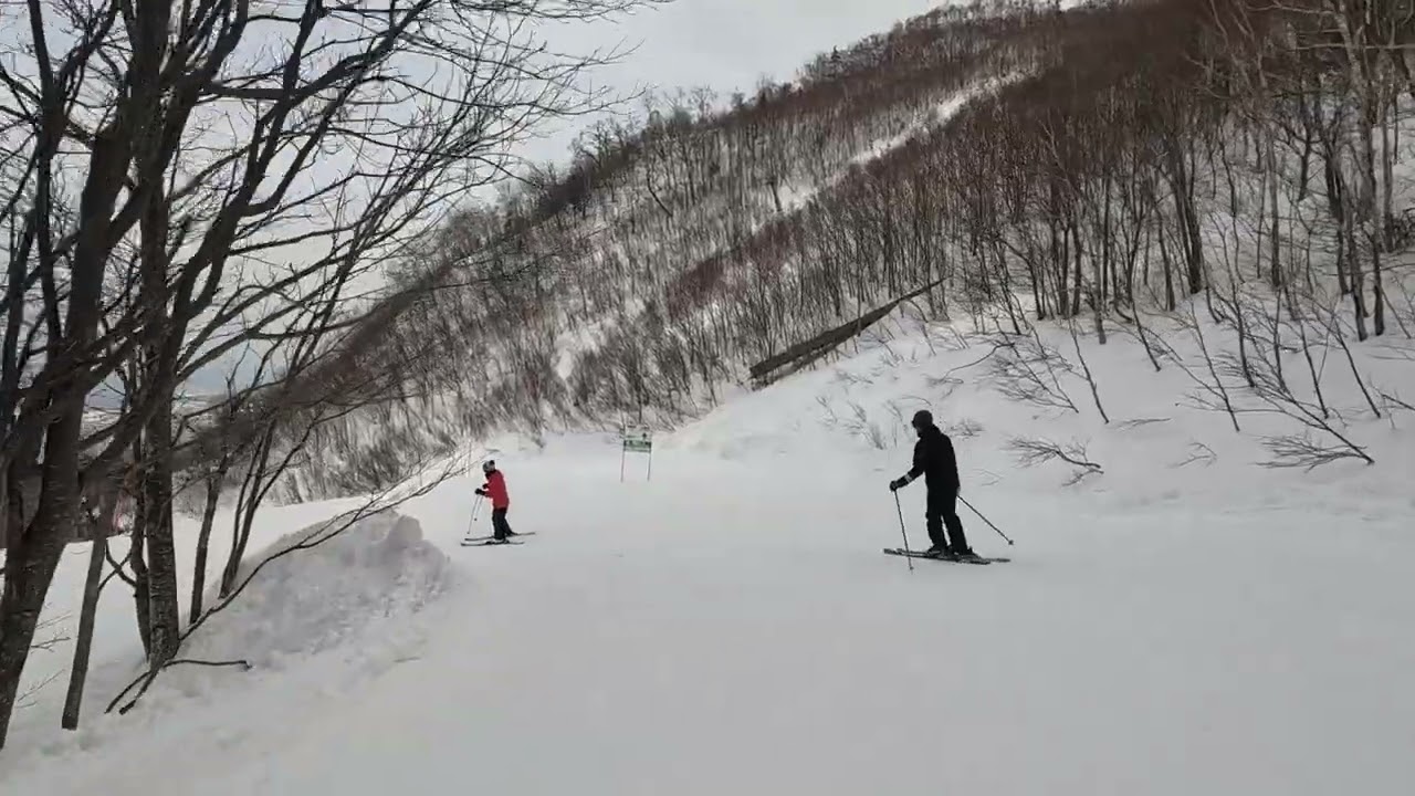 260222 Natural, Sapporo Teine