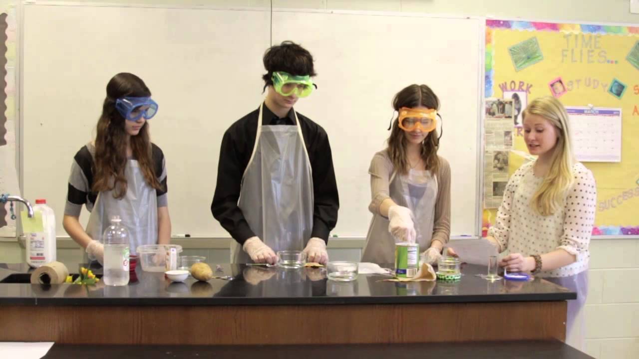 Chanda Davis - Plastic Science