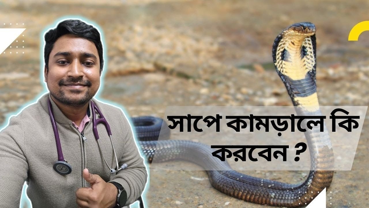 সাপে কামড়ের প্রাথমিক চিকিৎসা, ও প্রতিরোধের উপায়। Snake bite: First aid, Dos & don'ts, prevention.🐍