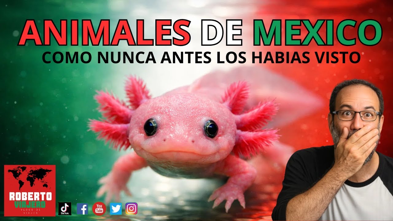 Animales de Mexico como nunca antes los habías visto.