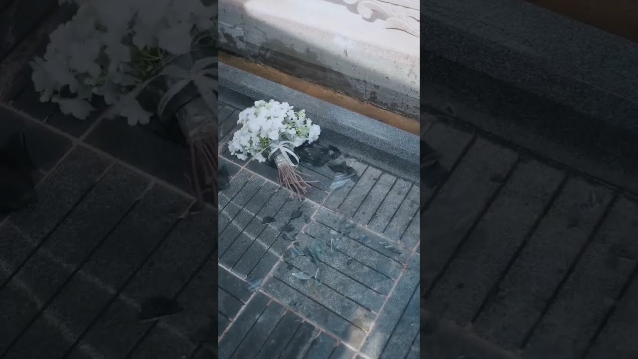 เมียหลวงเกิดใหม่มีพลังวิเศษ! ตบหน้าเพื่อนชั่วทวงคืนลูก