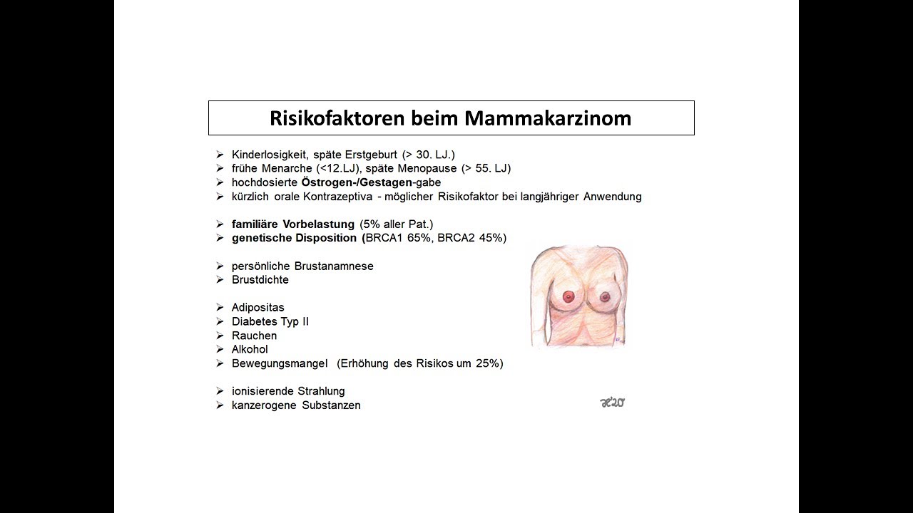 Risikofaktoren beim Mammakarzinom | Strahlentherapie Prof. Hilke Vorwerk