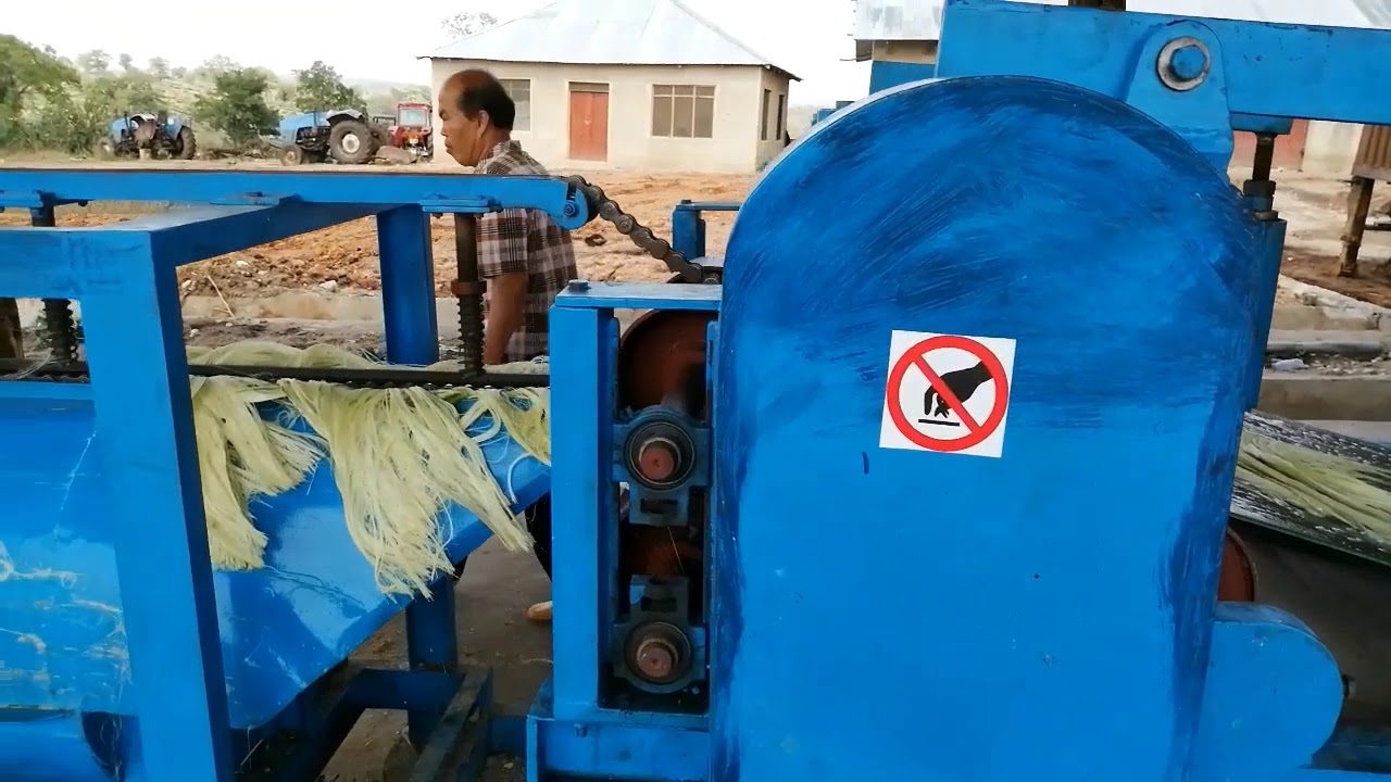 Sisal Decorticating (Raspador de Sisal) In-line System V30 : 20190307-1 (Tanzania)