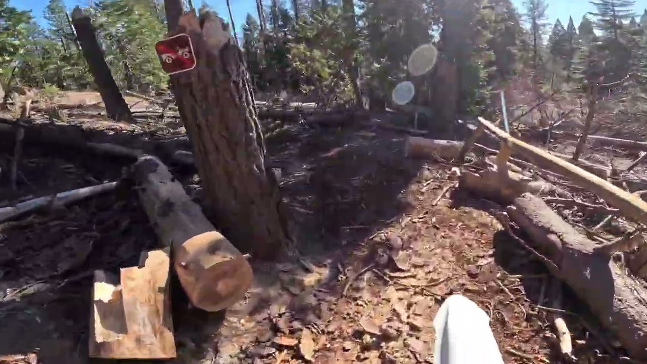 Stark Varg sugar pine ohv January 26’