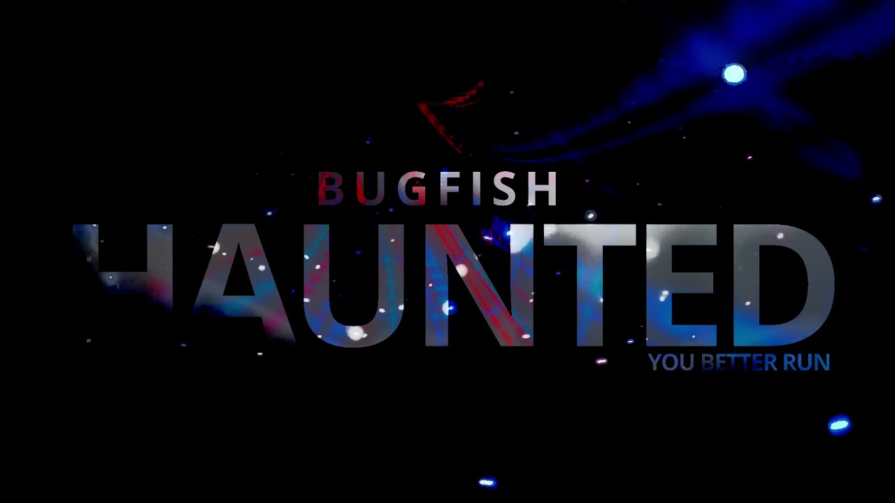 Haunted 📀 Pursuit