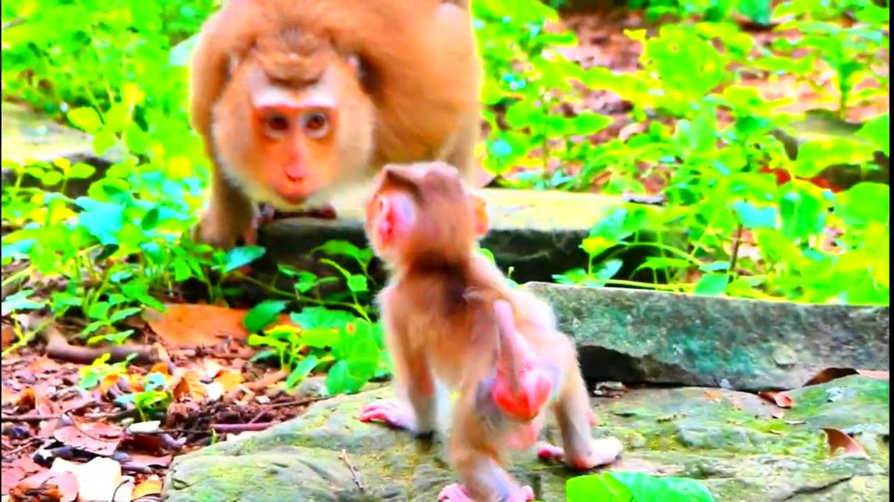 Interesting Time! Grateful Mother Shows Best Love In Deep Heart To Her Child...!