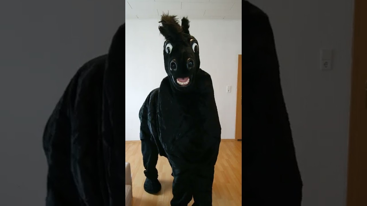 Pantomime Horse Costume Test