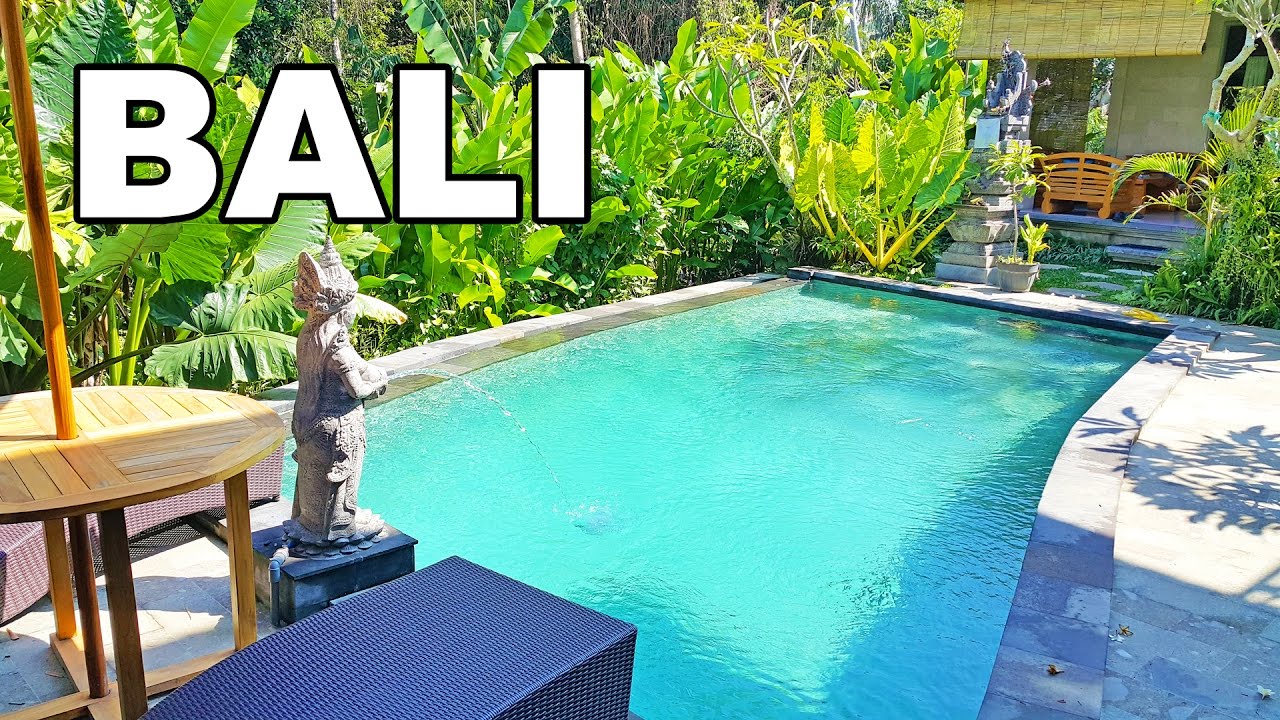 🇮🇩 JAK WYNAJĄĆ DOM NA BALI? #419