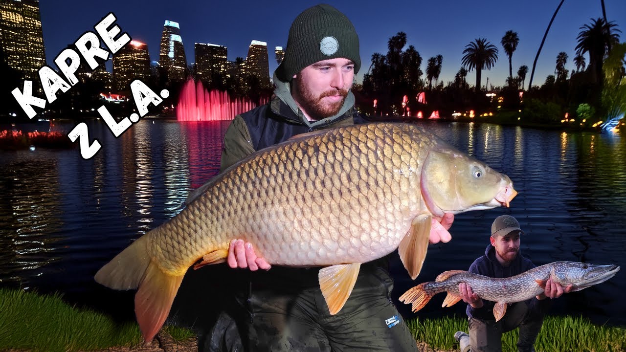 Lov Kaprov v L.A.🐟 Nočný lov kaprov má svoje čaro!🌙