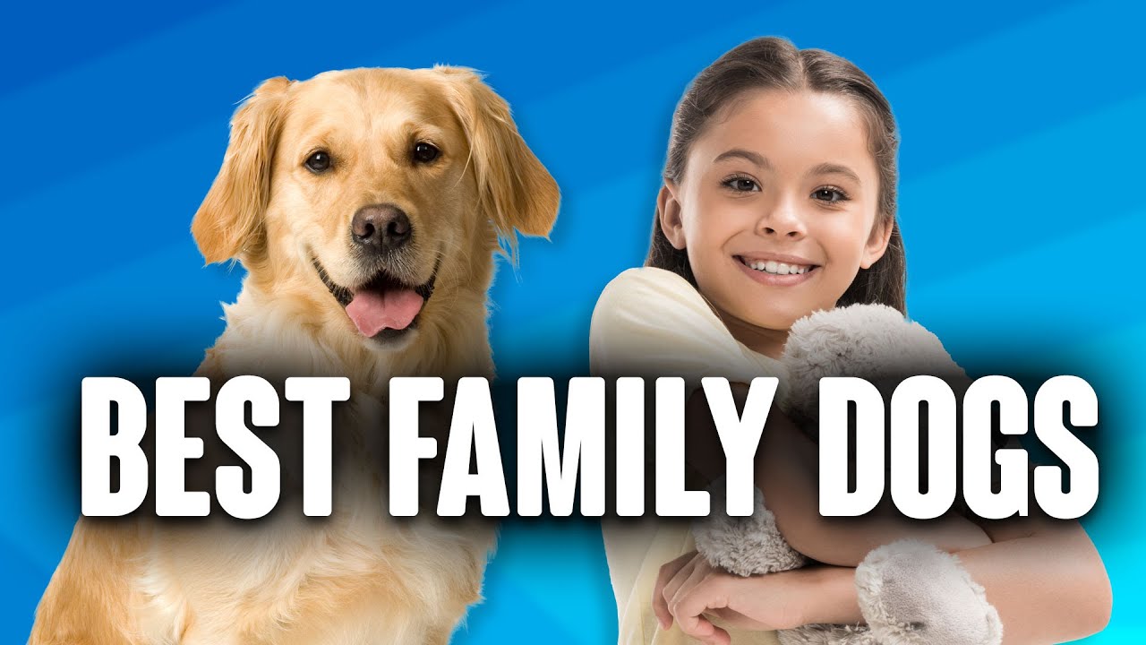 Best Dogs for Families with Children