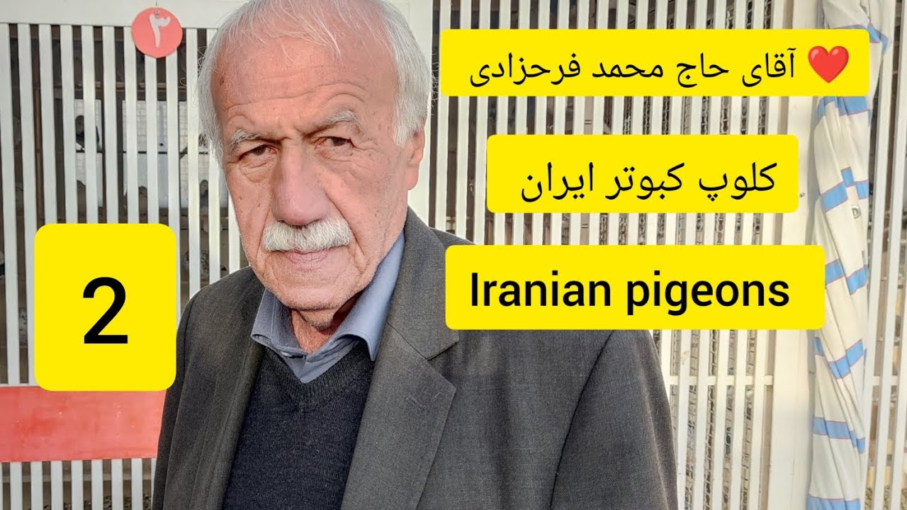 ❤️۲۵بهمن ۱۴۰۱ کلیپ2 از کبوترا و مصاحبه با آقای حاج محمد فرحزادی از تهران iranian high flyers pigeon