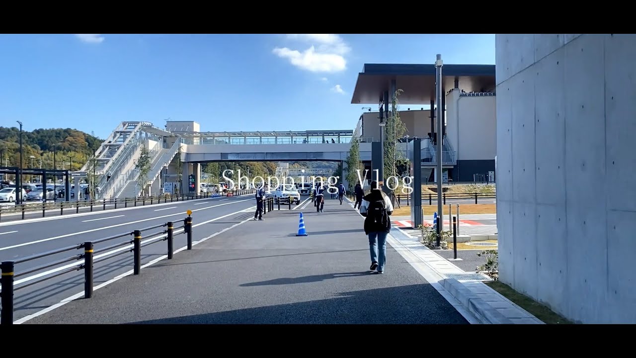 【Vlog】ITエンジニアの男２人で買い物行ったんだってさ【Shopping】