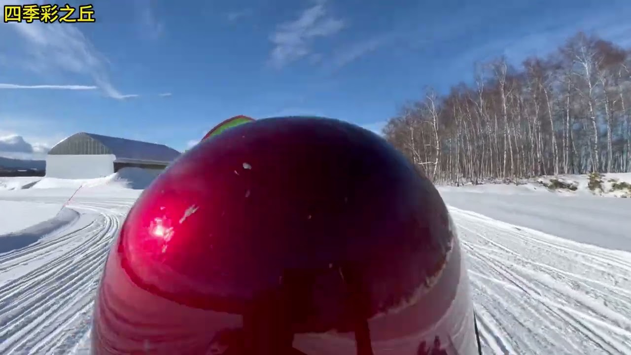 【20260125】北海道 #四季彩之丘 #美瑛圣诞树 ##Shirahige Waterfall (美瑛町白须瀑布) #Furano Ningle Terrace (富良野精灵露台)