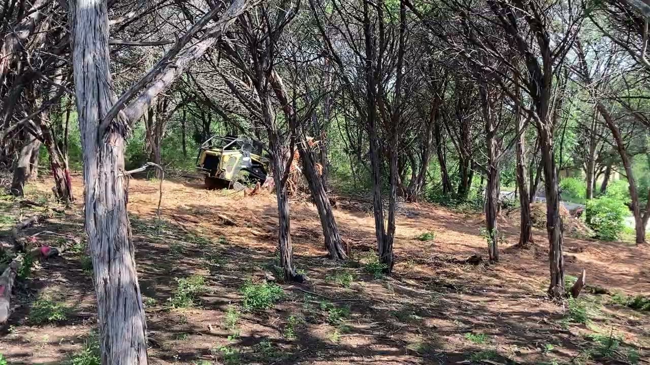 Forest Mulching with a Skid Steer
