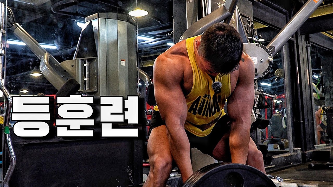 요즘 등 운동은 이렇게 합니다