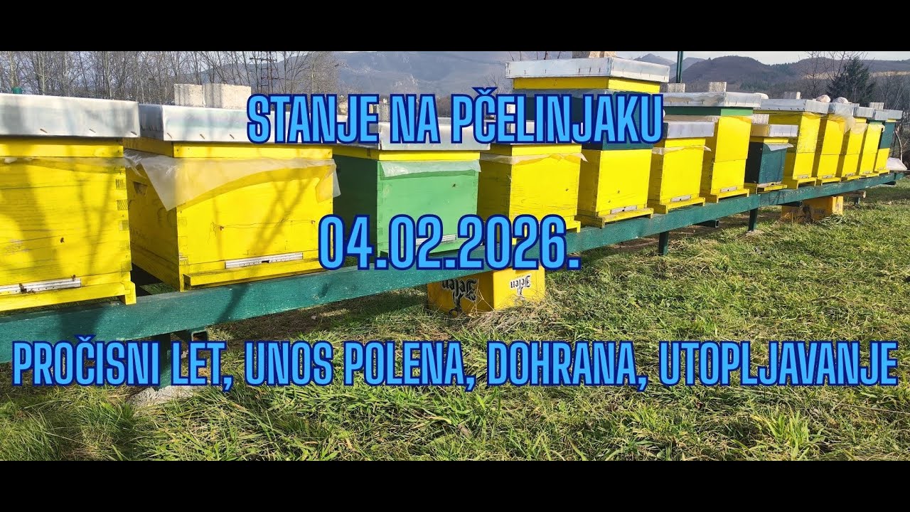 Stanje na pčelinjaku, unos polena, dohrana, pročisni let