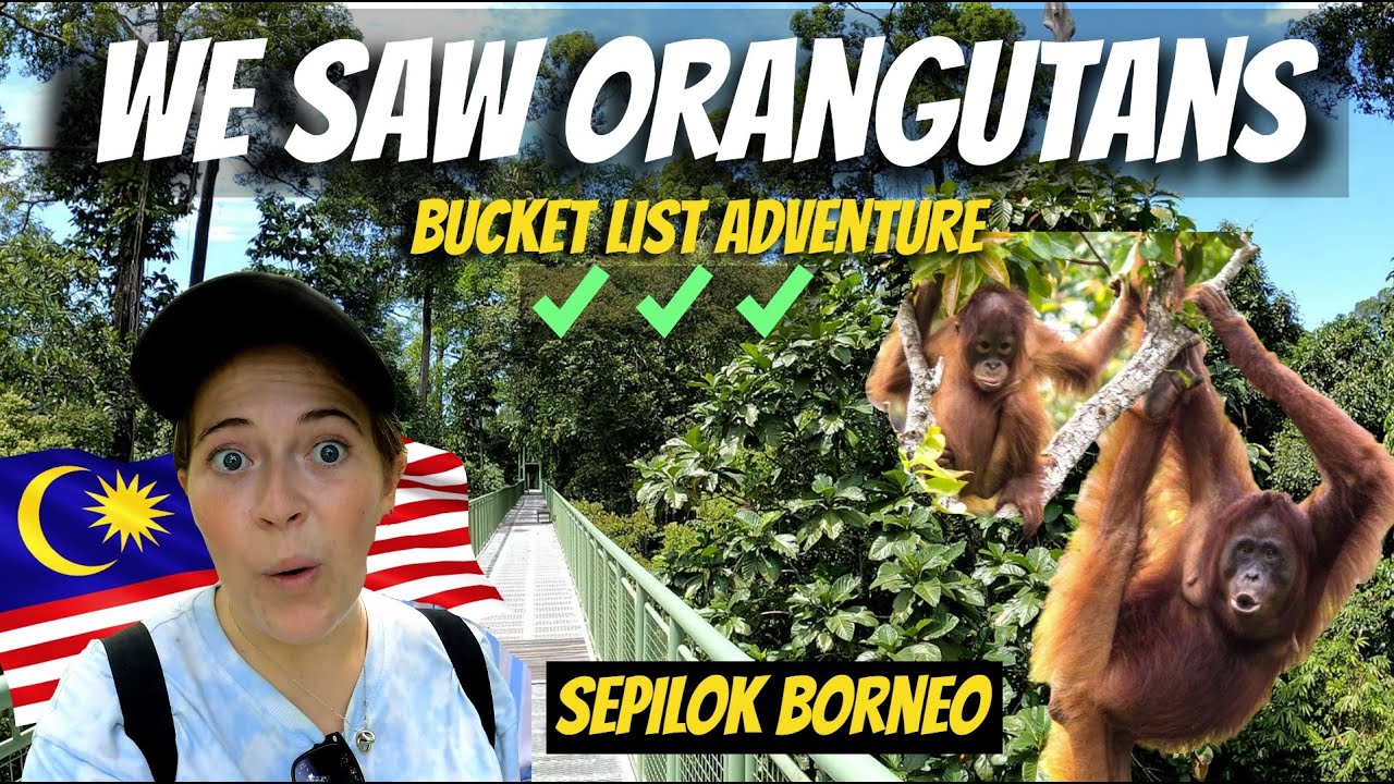 ORANGUTAN Sanctuary in SABAH, MALAYSIA 🇲🇾 WE are in LOVE with Malaysia