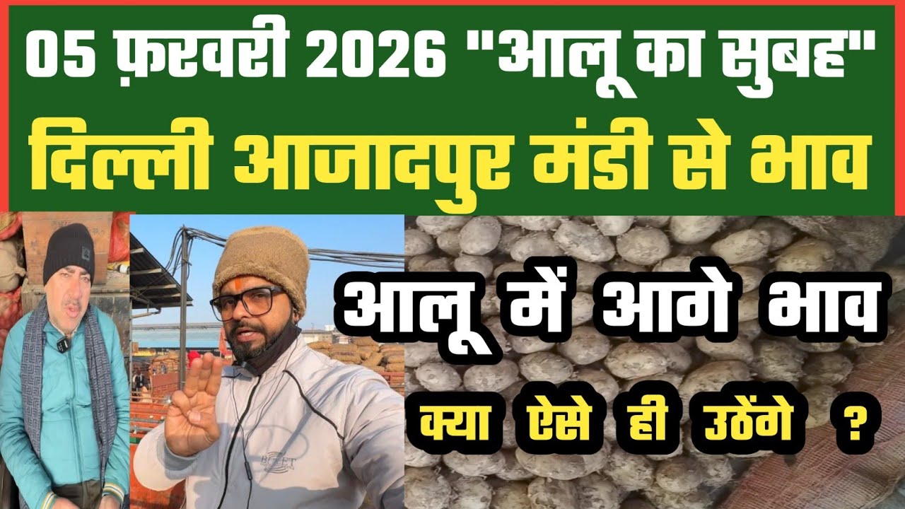 आलू में आगे बाजार अच्छा कैसे ? 🤔 Azadpur Delhi Mandi Today में 05-02-2026 के Potato Price DMT TV