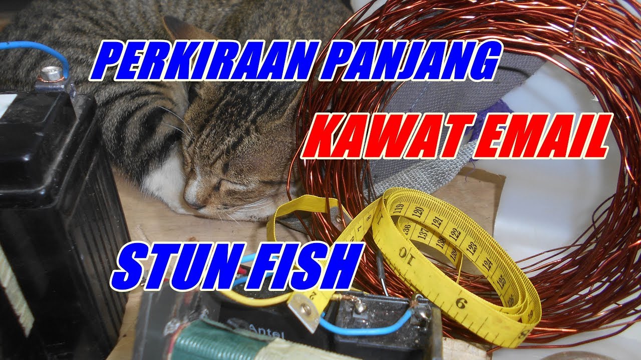 MENENTUKAN UKURAN PANJANG KAWAT DENGAN METER (STUN FISH).
