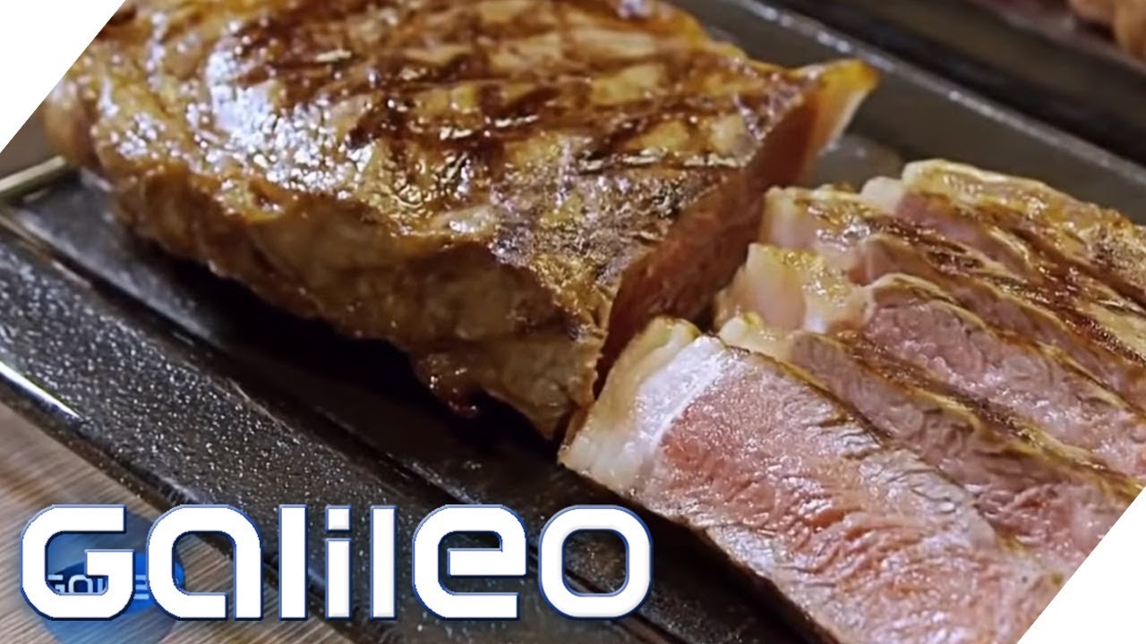 Sous-Vide für zu Hause: Edelsteak dank neuer Koch-Methode? | Galileo | ProSieben