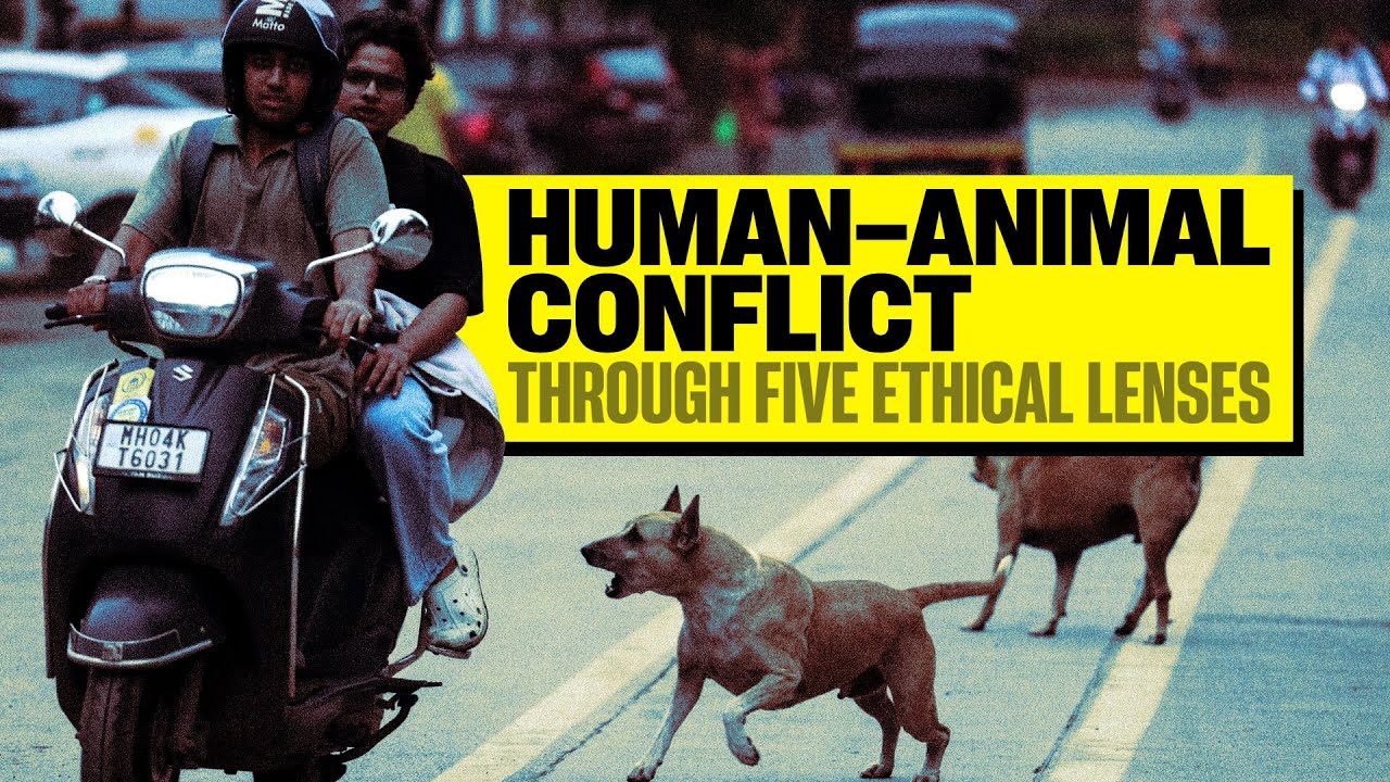 Human&ndash;Animal Conflict: 5 Ethical Lenses of Analysis