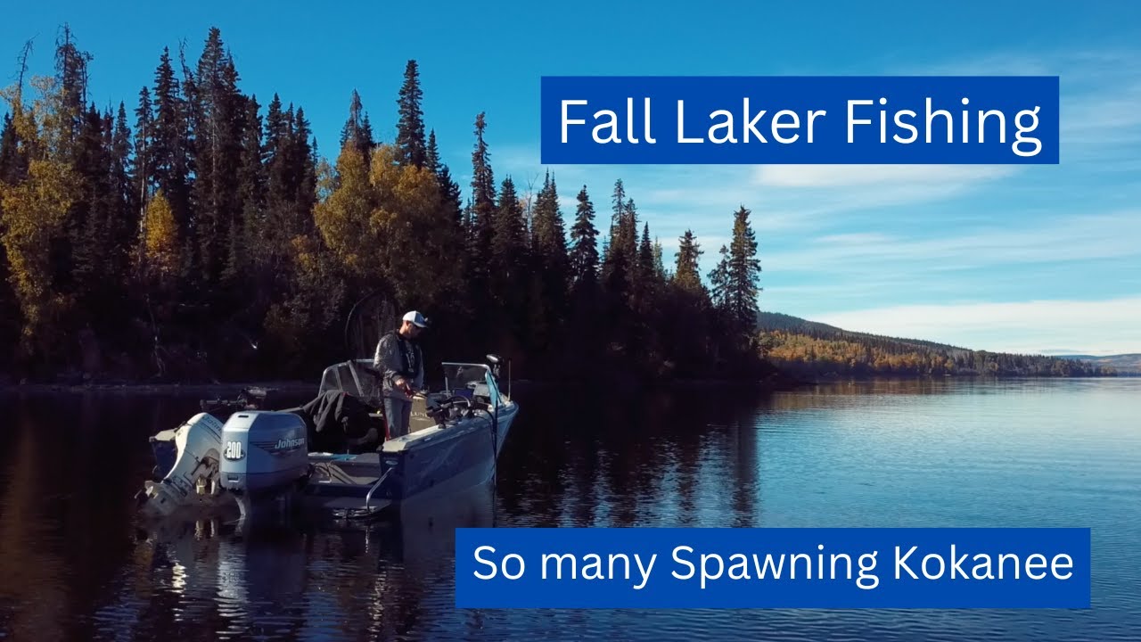 FALL Laker Fishing..... So Many Spawning Kokanee