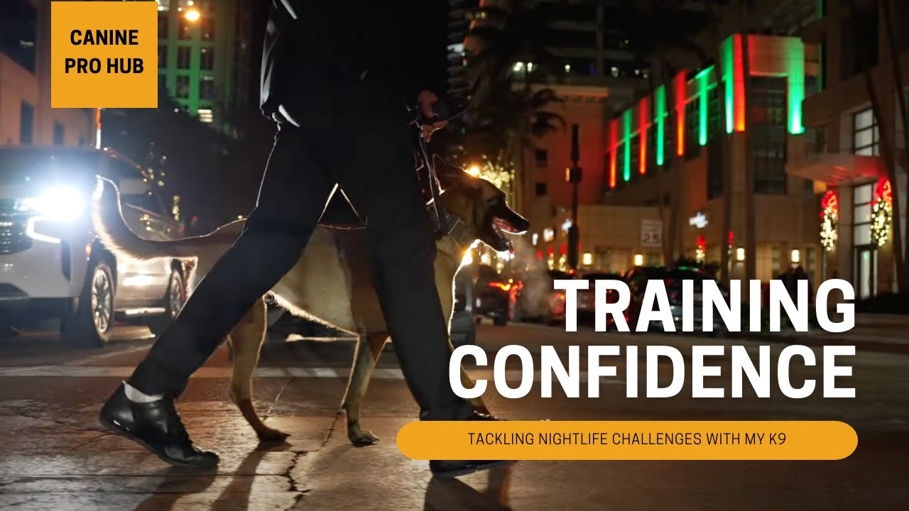 The Best Canine Pro Hub - Tackling Nightlife Challenges with my K9 Athena