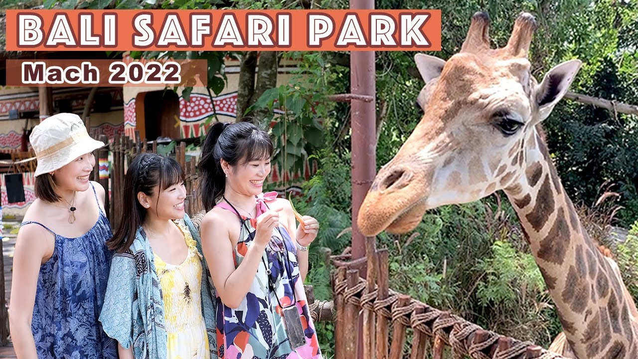 Bali Safari🐘🏝スゴすぎる！動物たちの名演技🤣バリ島最大級の動物園！【BALI DAY3】