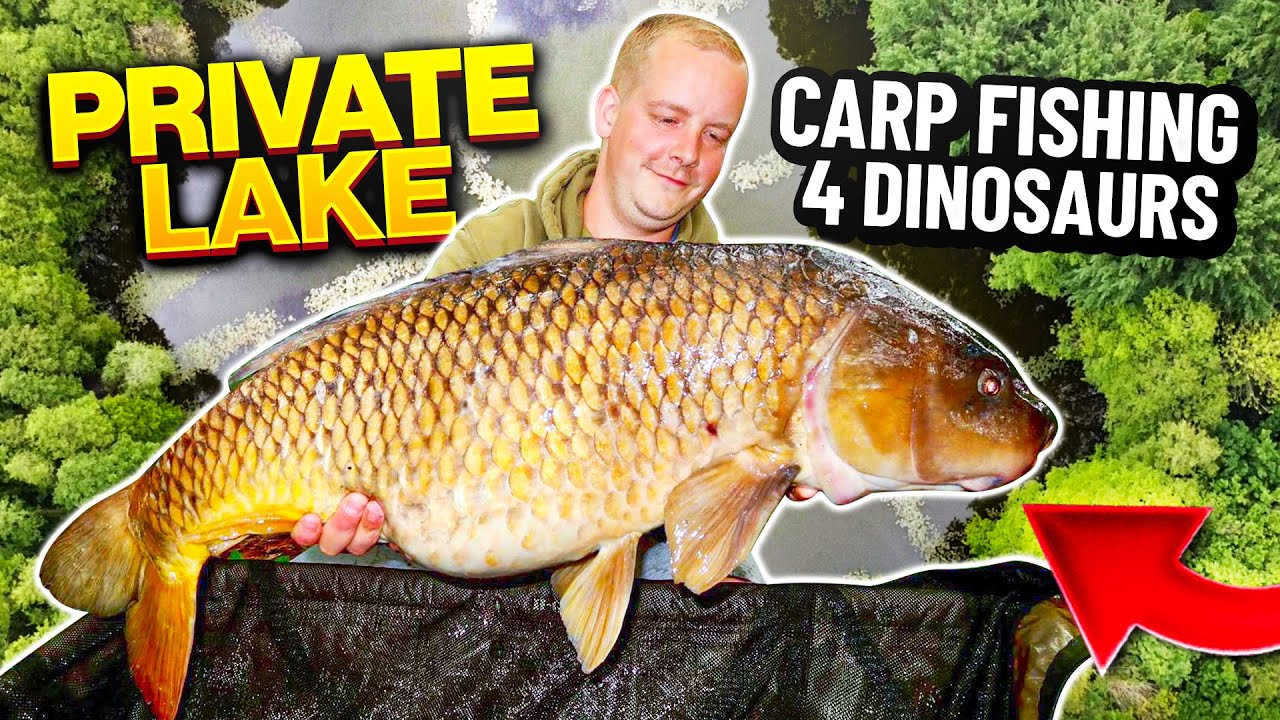 Carp Fishing 24 Hours SMALL UK LAKE!