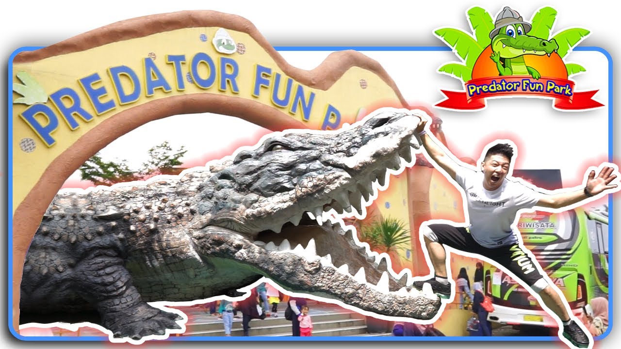 AWASS...!! Ada Buaya di PREDATOR FUN PARK Batu - Malang