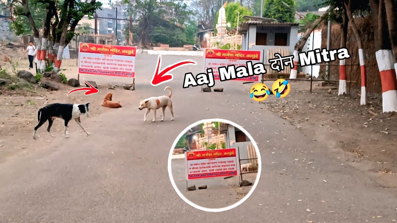 Aaj Mala Two  friends baitle With me 😂🤣 