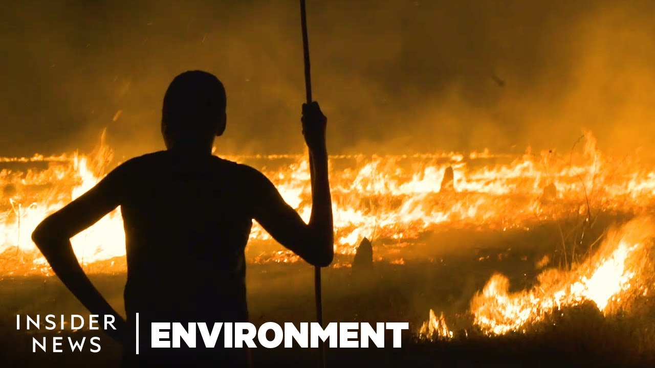 Aboriginal Tradition Could Prevent Bushfires in Australia