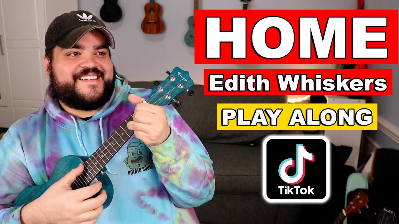 HOME - Edward Sharpe & The Magnetic Zeros | Ukulele Cover & Play Along