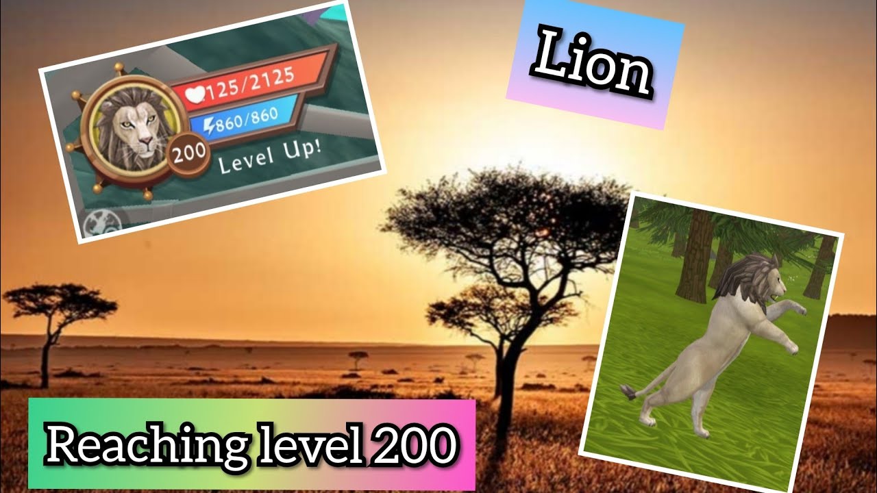 WildCraft - Reaching level 1 to 200 / Lion