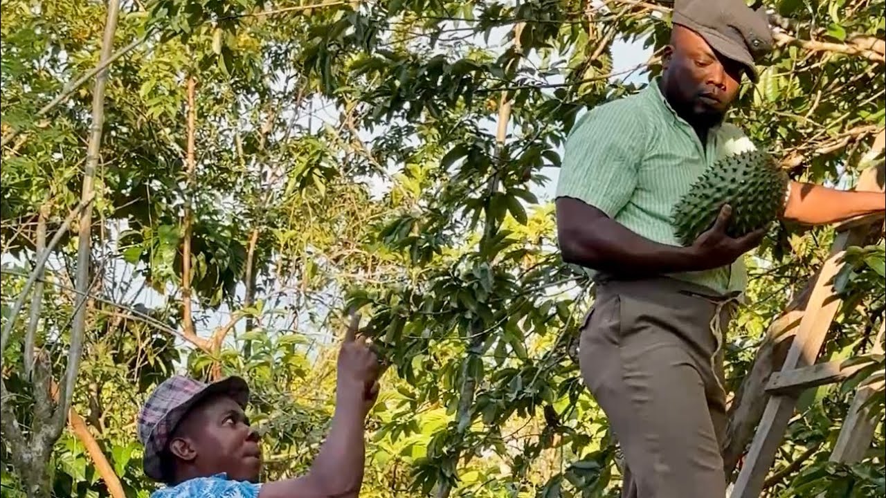 Emeregildo da la vida por Kortico#humor #viralvideo #comedia #2025 #drama #