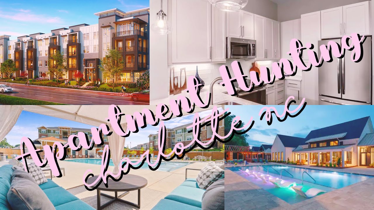 Apartment Hunting in Charlotte NC | WITH NAMES AND PRICES PT 2