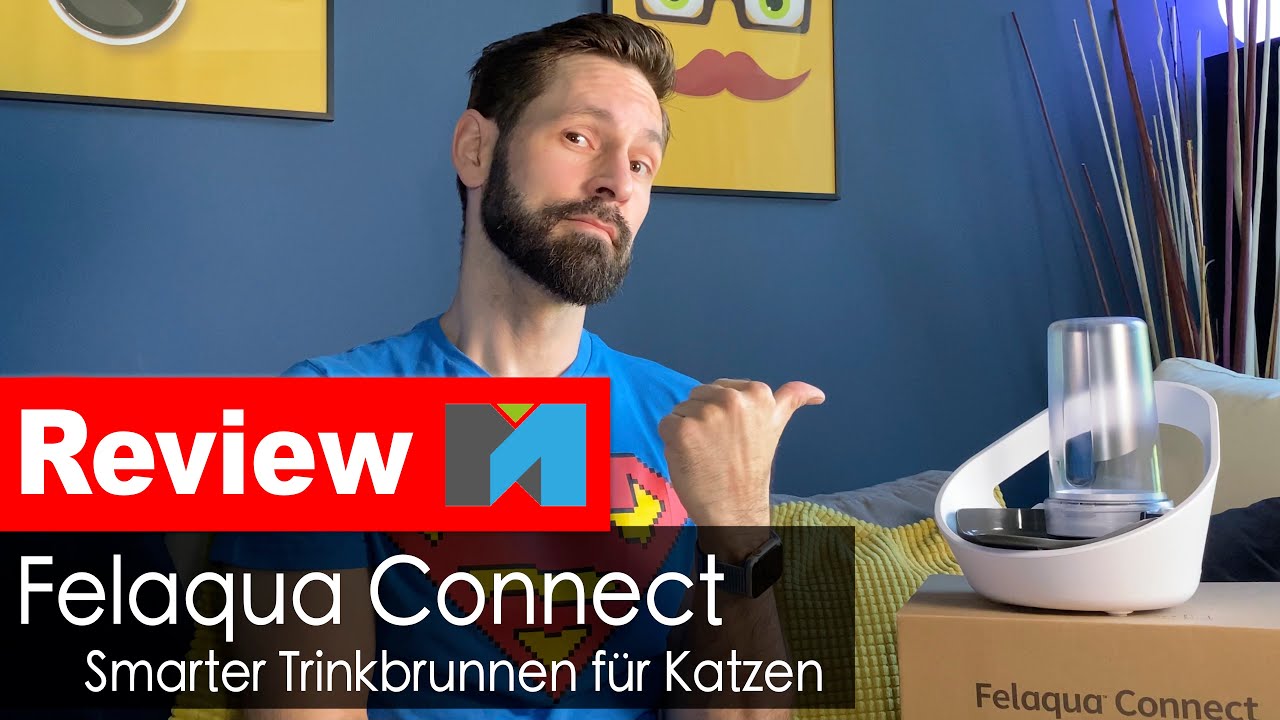 Felaqua Connect im Test: Für die Katzen nur das Beste! 😺
