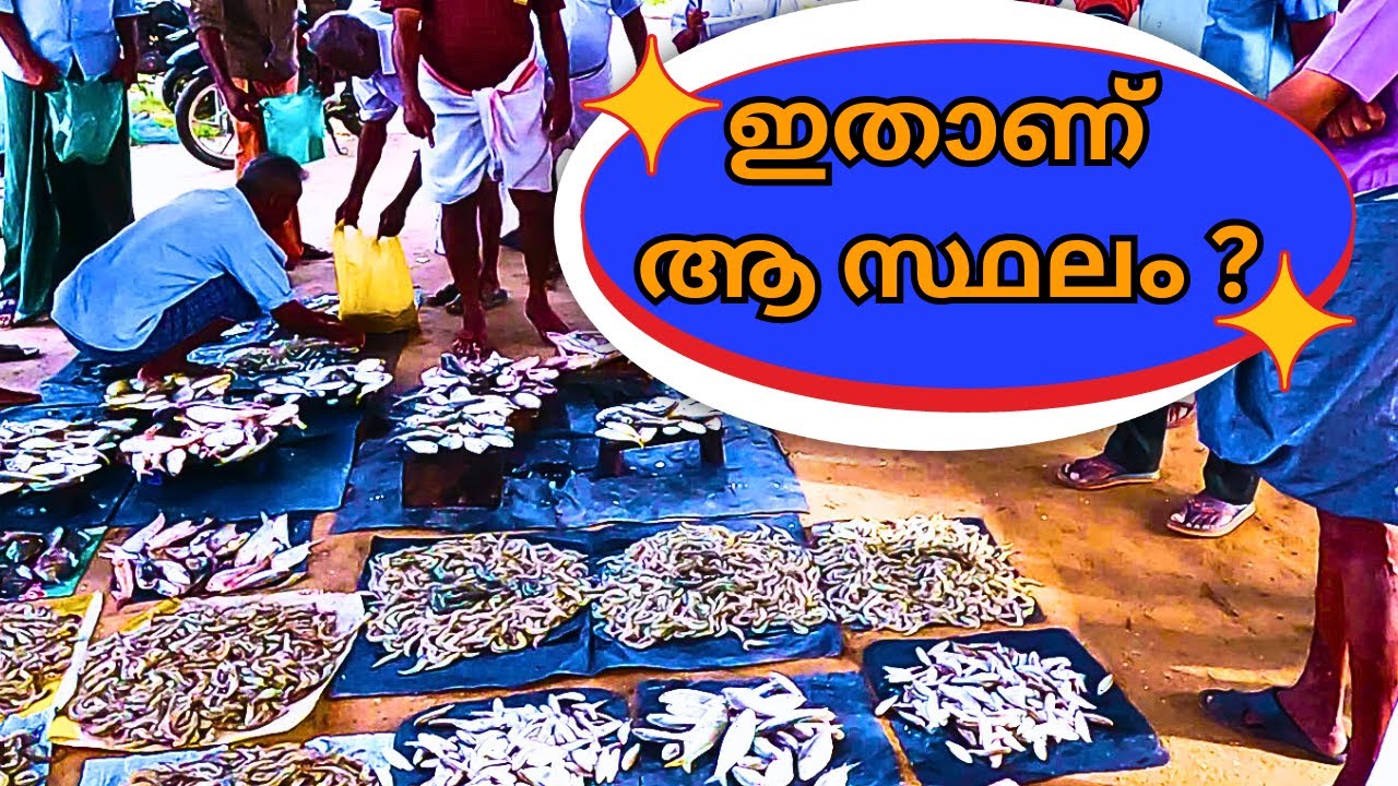 പെടക്കണ കായൽ മീൻ ചന്ത | kochiyude jetty fresh fish auction | kochiyude jetty