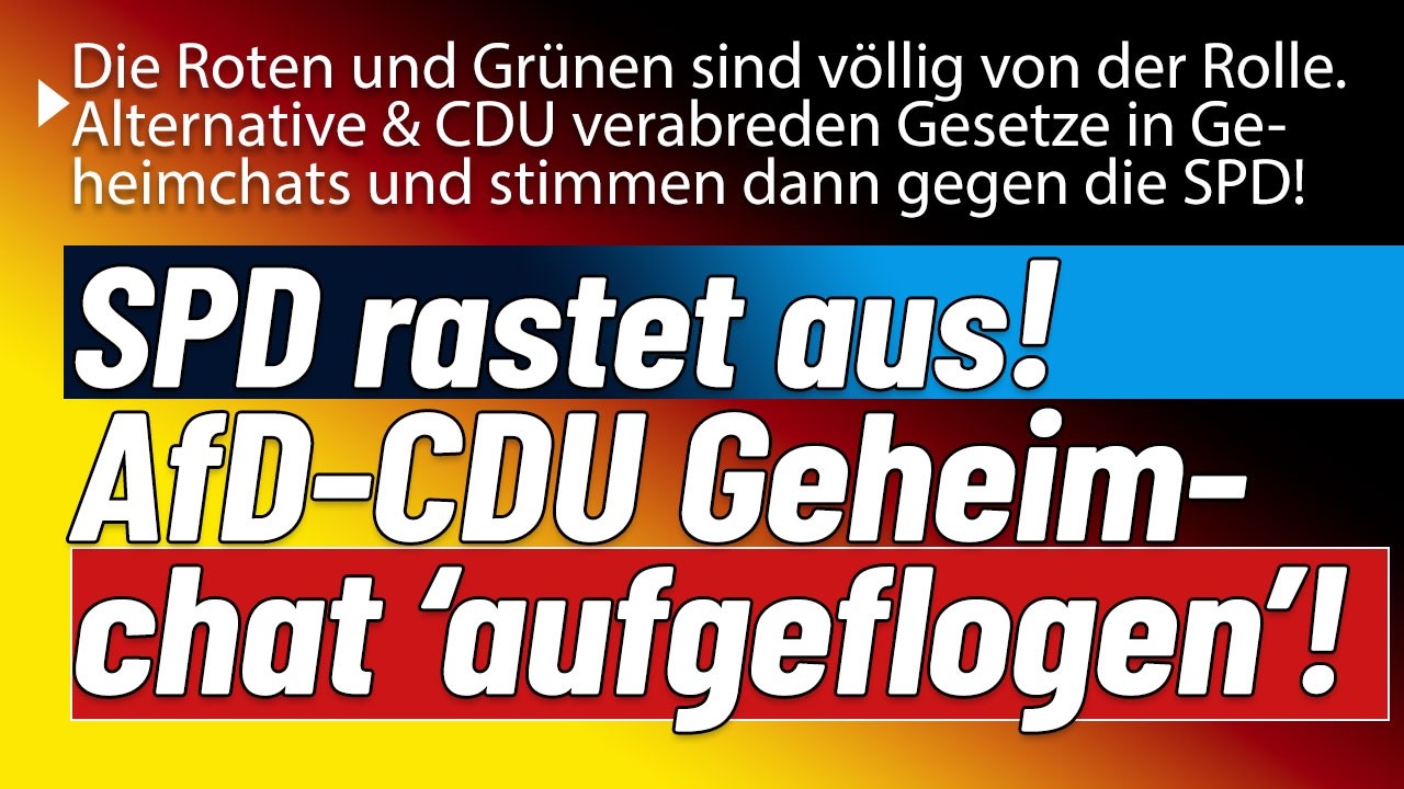 Eskalation. Alternative & CDU Geheimchats auf EU Ebene! Sozialdemokraten völlig am Limit!