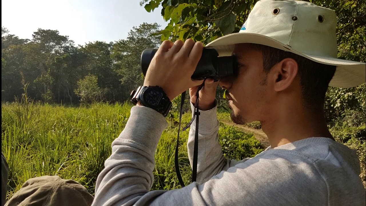 Chitwan  nationalpark, nepal 2017 غابة شيتوان ، النيبال