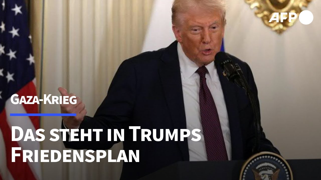 Kurz erklärt: Das steht in Trumps Friedensplan für Gaza | AFP